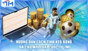 Hướng Dẫn Cách Tính Kèo Bóng Đá Cho Mọi Loại Cược Từ 7M 8 Cách tính kèo bóng đá