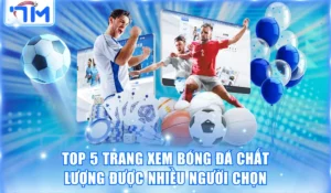 Trang xem bóng đá chất lượng