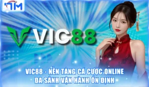 VIC88 - Nền Tảng Cá Cược Online Đa Sảnh Vận Hành Ổn Định 8 vic88