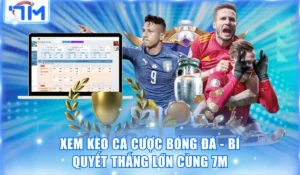Xem Kèo Cá Cược Bóng Đá - Bí Quyết Thắng Lớn Cùng 7M 2 Xem kèo cá cược bóng đá