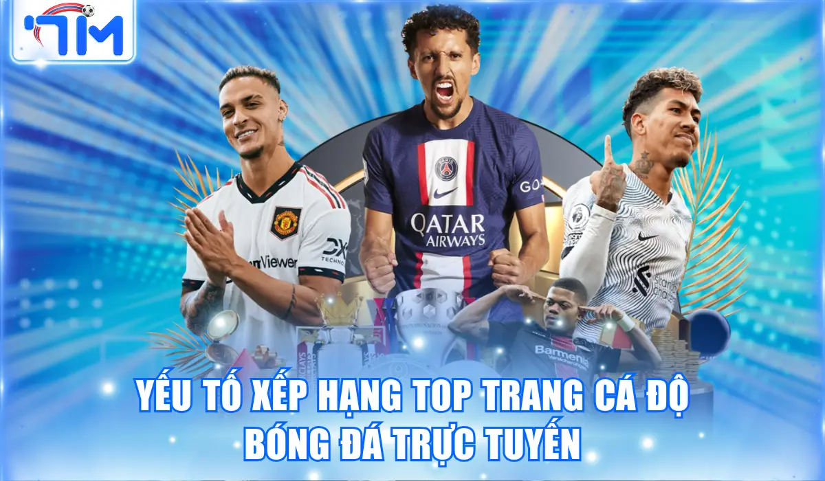 Yếu tố xếp hạng top trang cá độ bóng đá trực tuyến