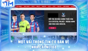 Net88 - Thiên Đường Cá Cược Trực Tuyến Đẳng Cấp Số 1 Châu Á 3 Một vài thông tin cơ bản về nhà cái Net88