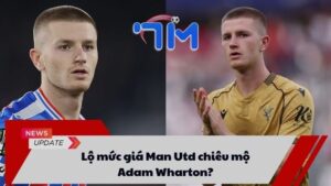 Lộ mức giá Man Utd chiêu mộ Adam Wharton? 7 Lộ mức giá Man Utd chiêu mộ Adam Wharton?